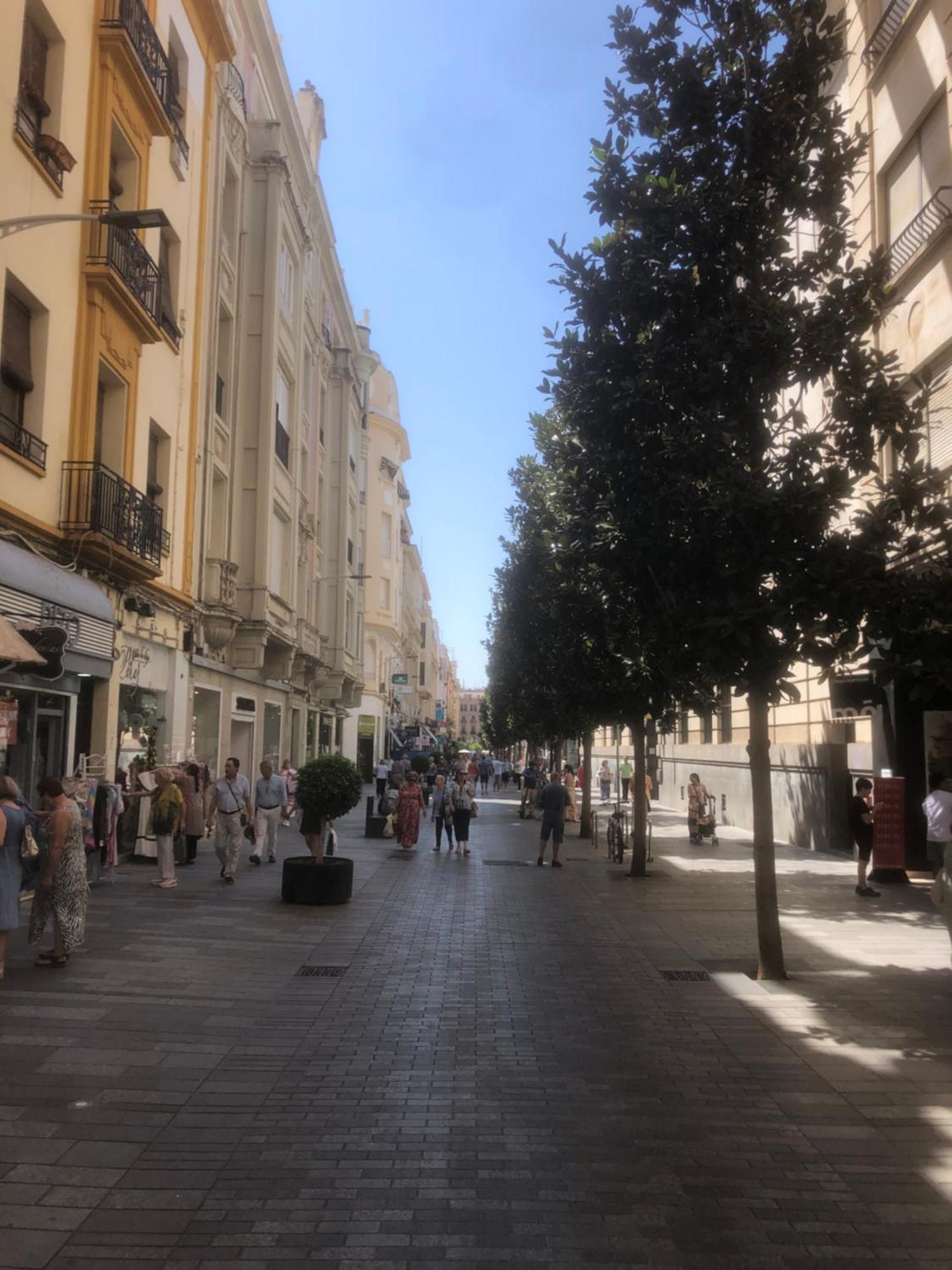 Apartamento En El Centro Totalmente Climatizado, Parking Gratuito Córdova Exterior foto